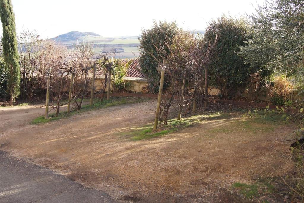 Apartamento Les Pierres Blondes Montpeyroux  Exterior foto